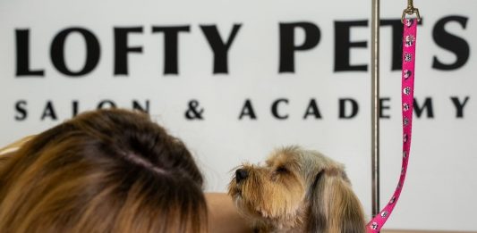 Pet groomer