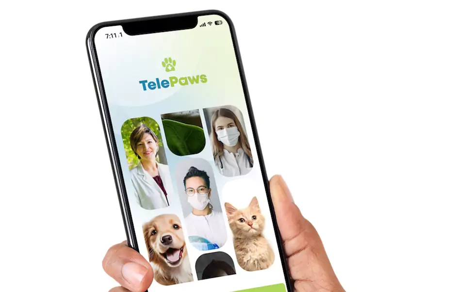 telepaws